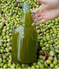Sızma Zeytinyağı