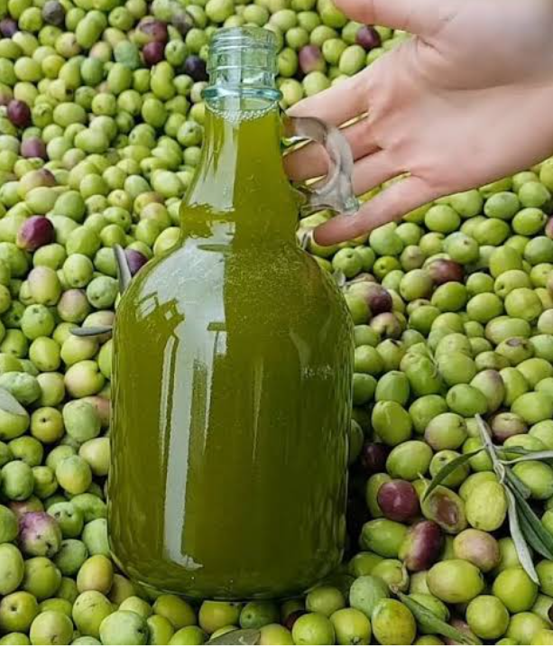 Zeytin ve Zeytinyağı 